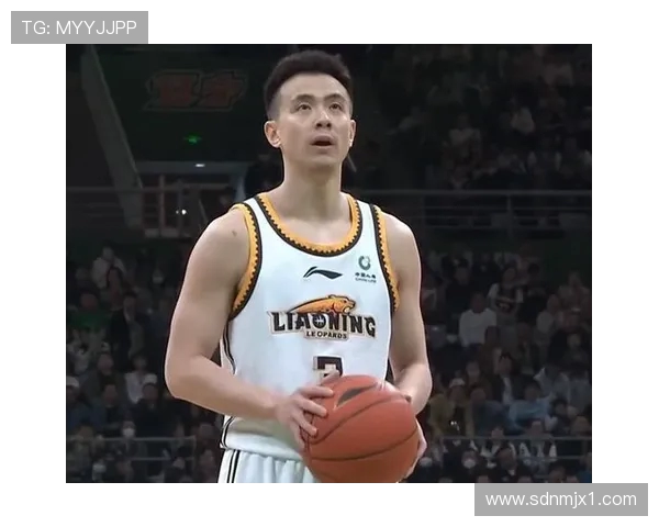 北京篮球队以54分稳居总决赛积分榜首位展现强劲实力