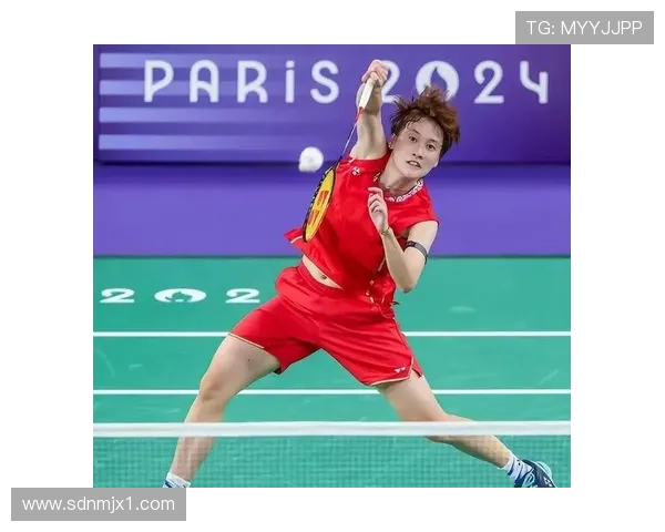 北京羽毛球队加速转型探讨与未来发展方向的热烈讨论