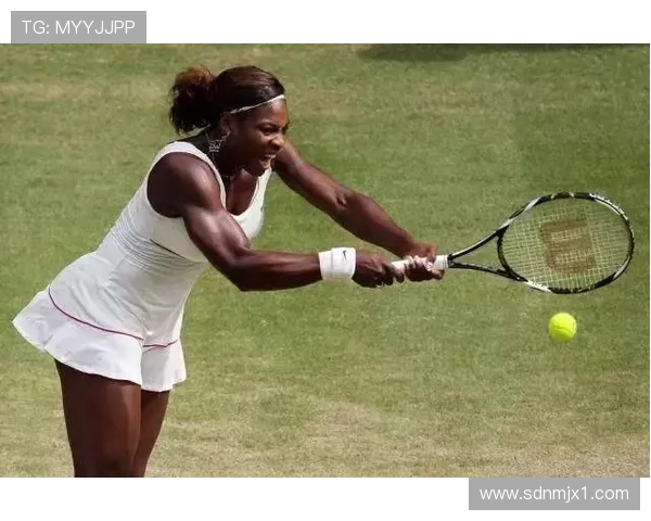 小威与吴迪激战再续网球场上谁能笑到最后引发热议